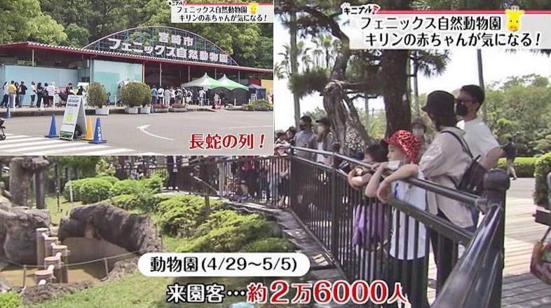 宮崎のおすすめのデートスポットとして宮崎の動物園フェニックス自然動物園を紹介